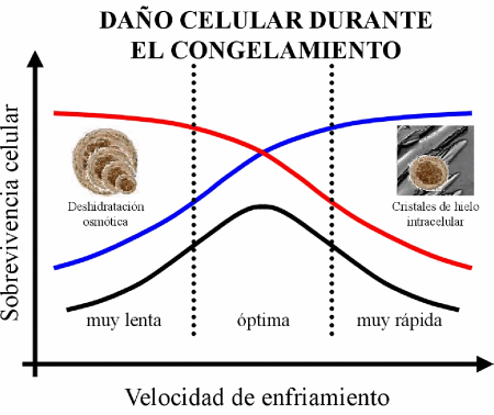 Cambia tu celular gratis con este Manual