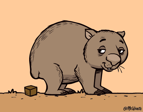 Curiosos