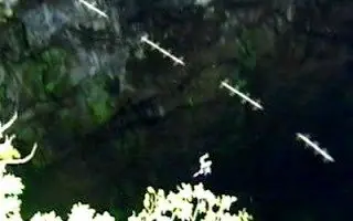 fenomeno rods