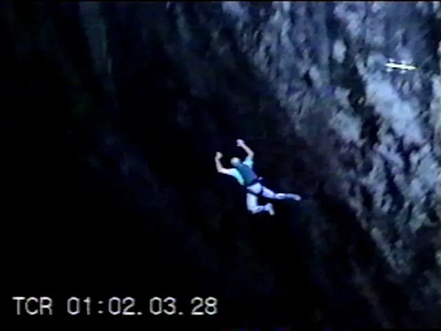 Rods, ¿misteriosas criaturas que están entre nosotros?