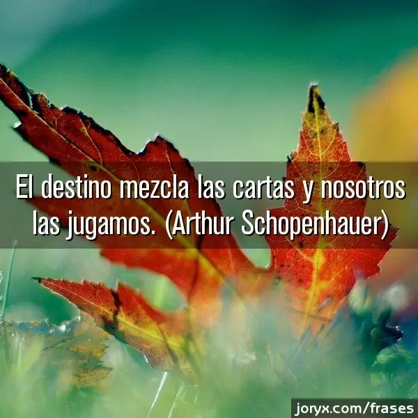 frases