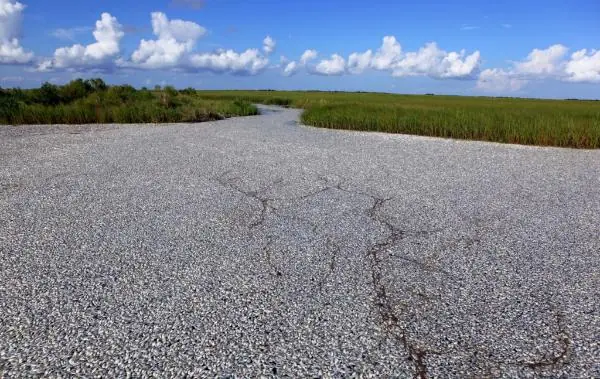 Aunque no lo creas no es una carretera