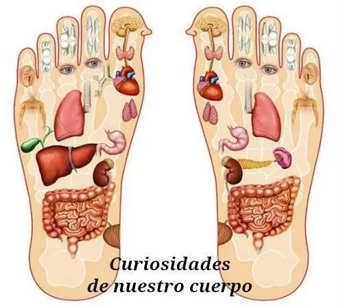 Malestares que puedes eliminar presionando zonas de tu cuerp