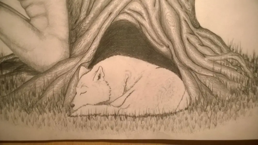 Dibujo