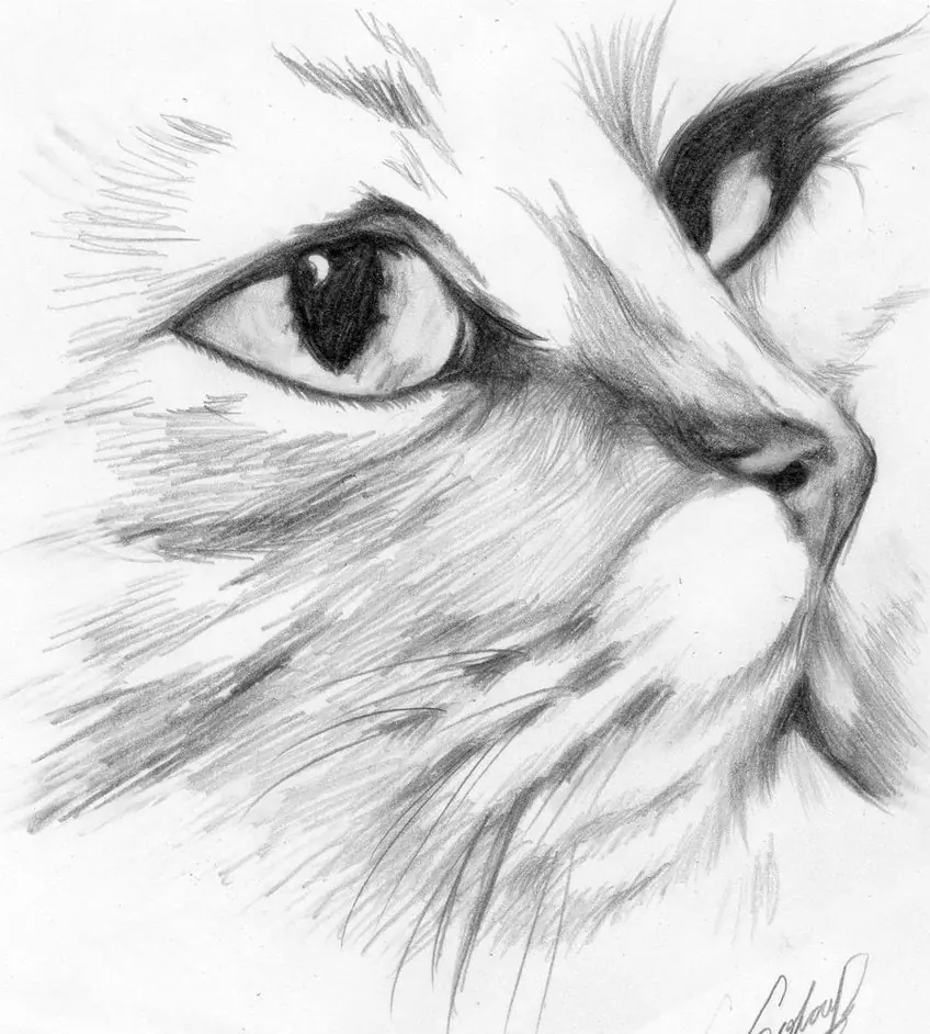 Te gustan los Dibujos Entra y Mira unos Lindos.!