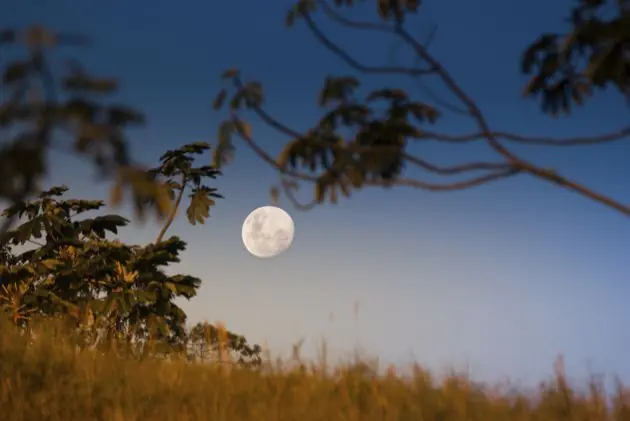 ¿Por qué a veces se puede ver la Luna durante el día?
