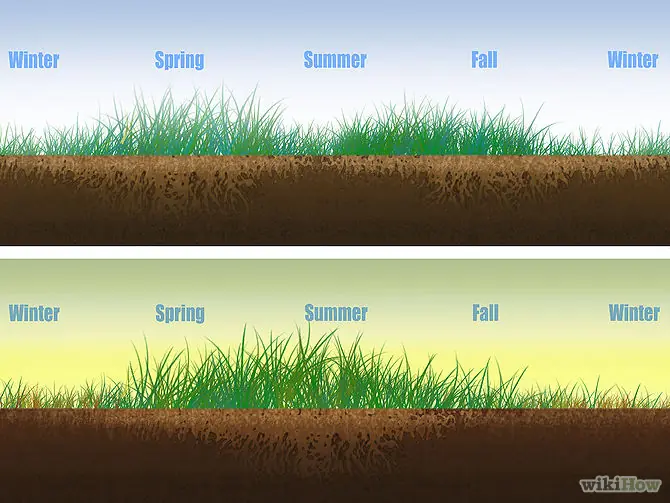 Cómo airear un jardín