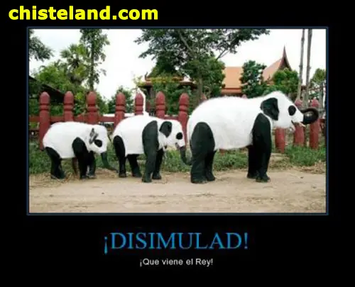 humor