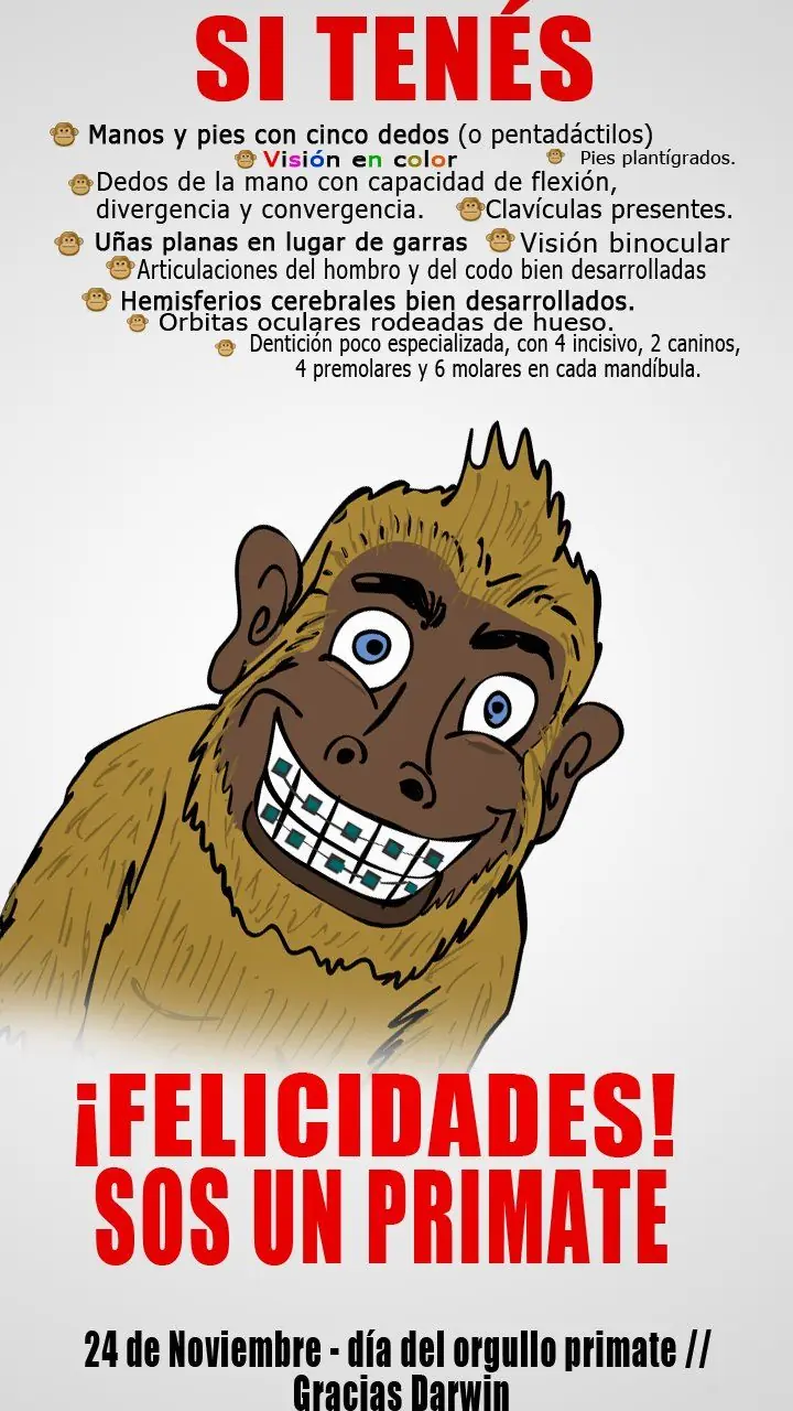 24 de Noviembre: Feliz Día del Orgullo Primate