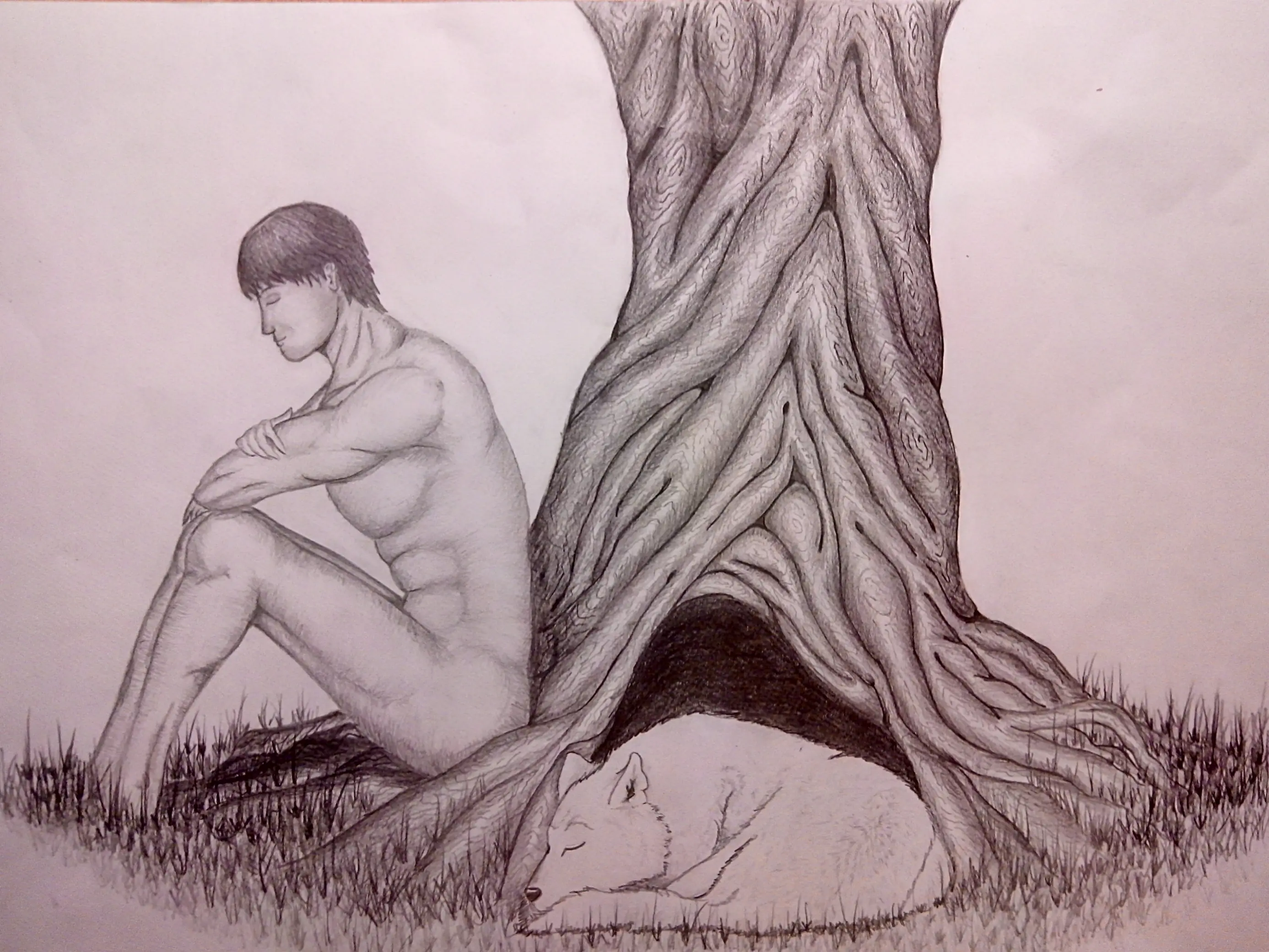 Arbol