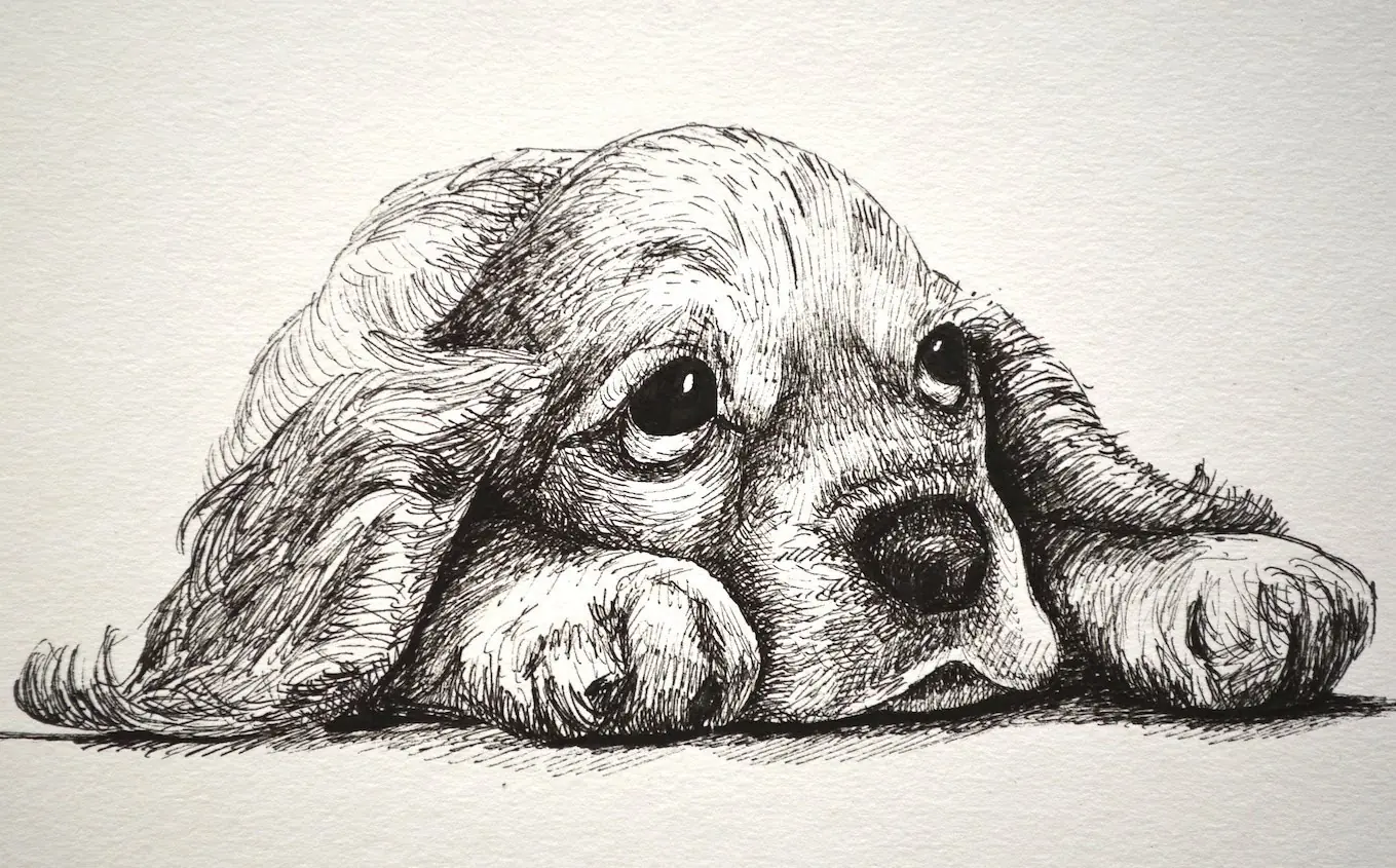 Dibujo