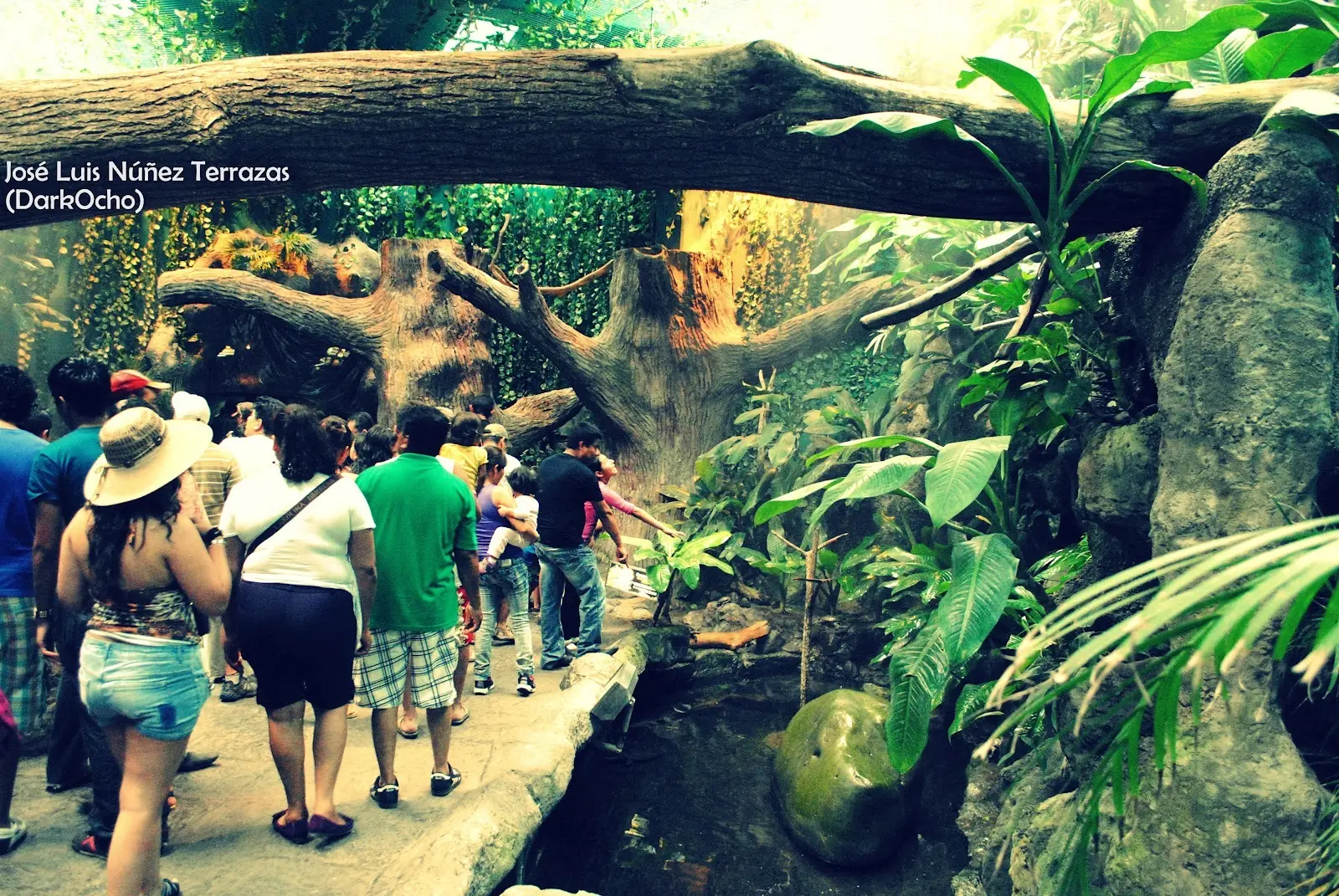 Acuario de veracruz
