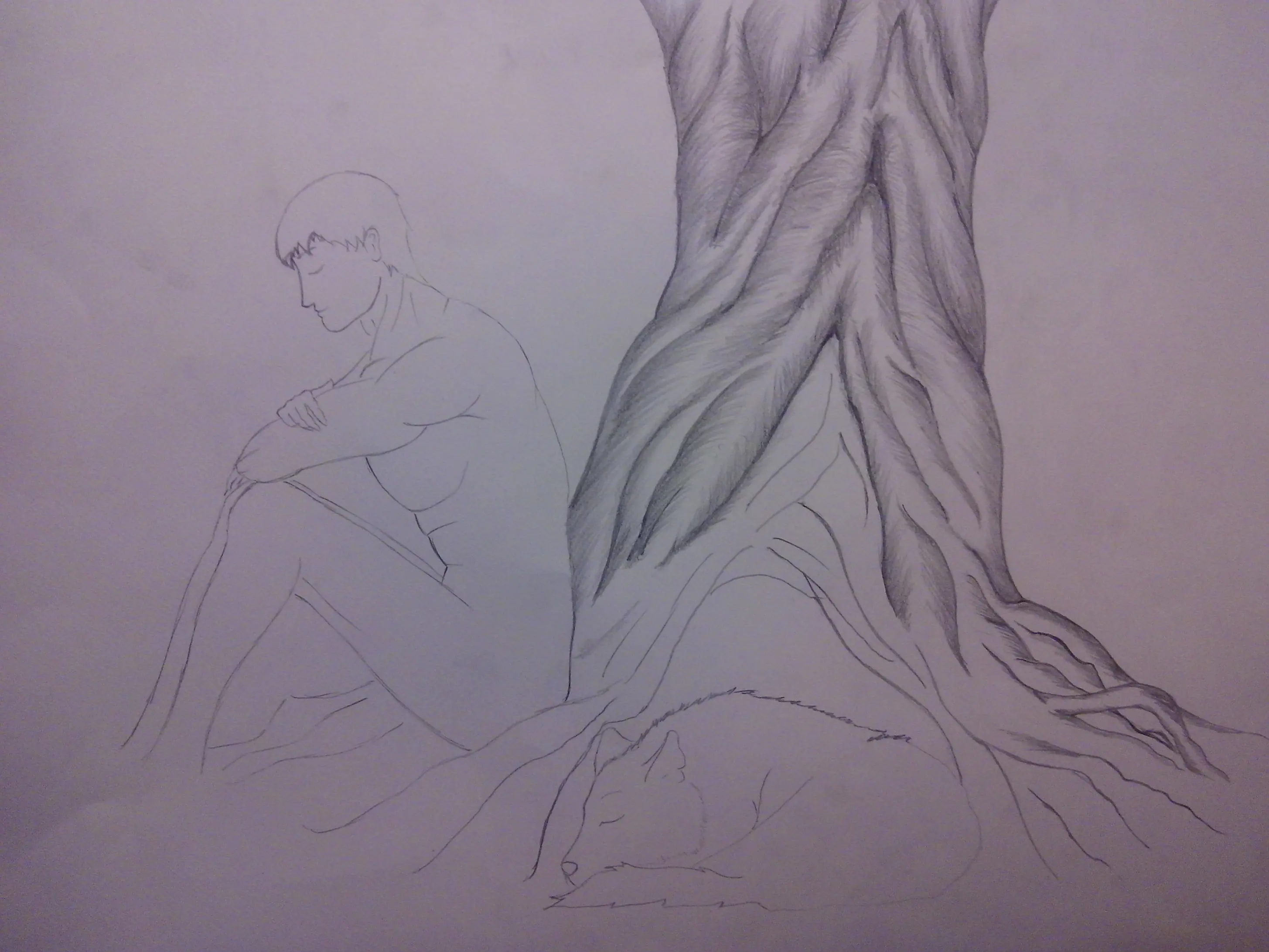 anatomia
