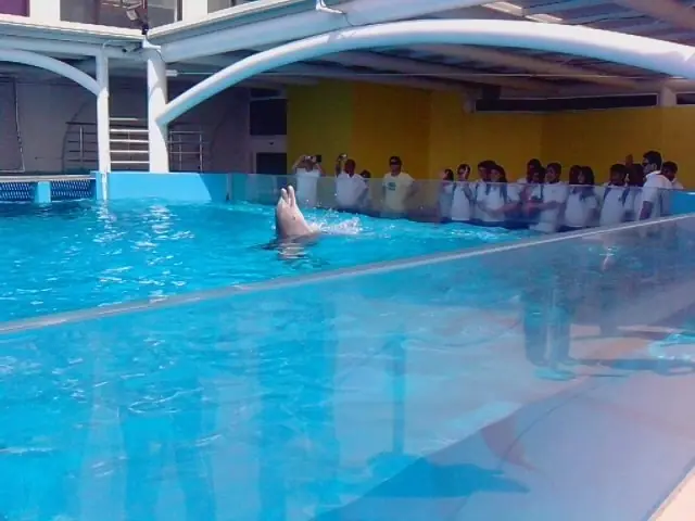 Acuario de veracruz