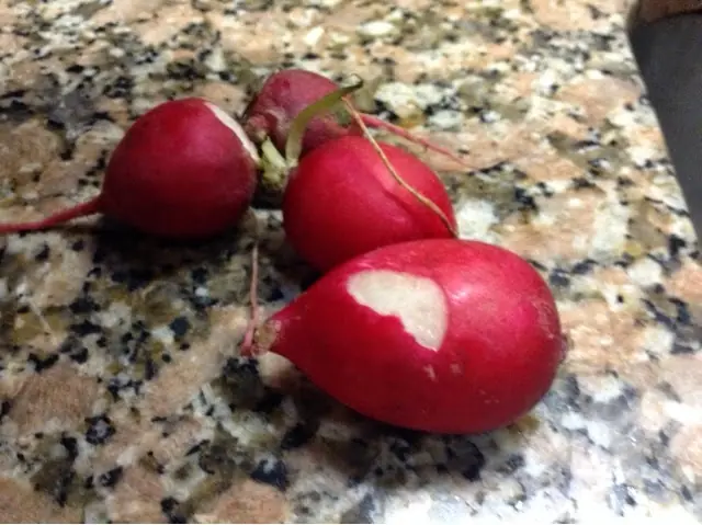 tomates