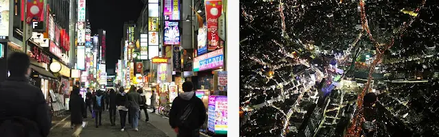 Te muestro Tokio en 12 dias Parte 1/3