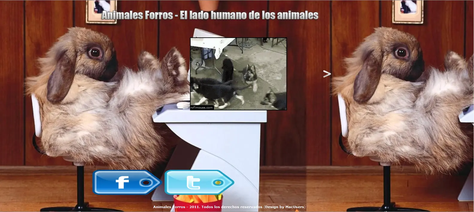 comentarios