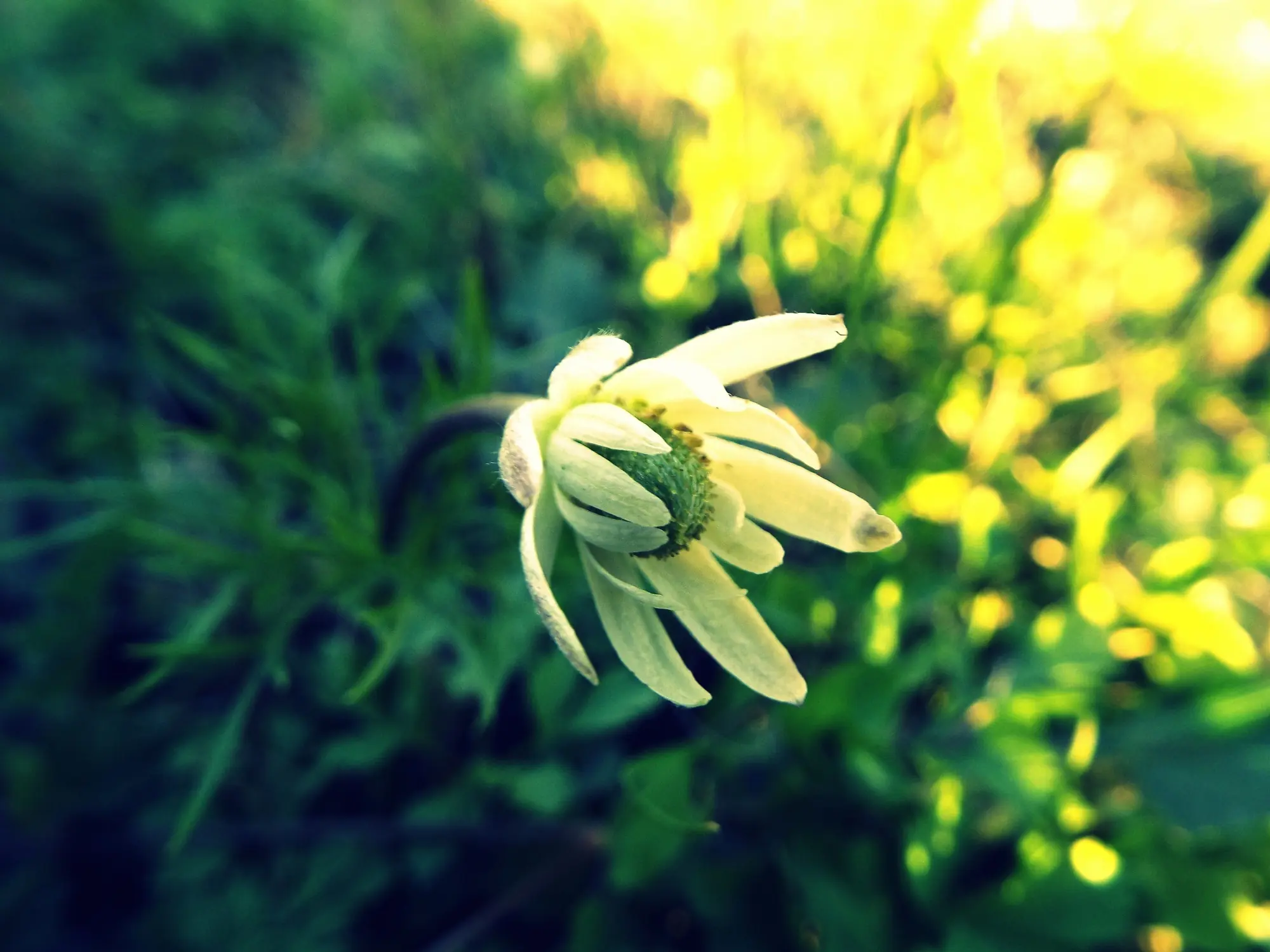 naturaleza