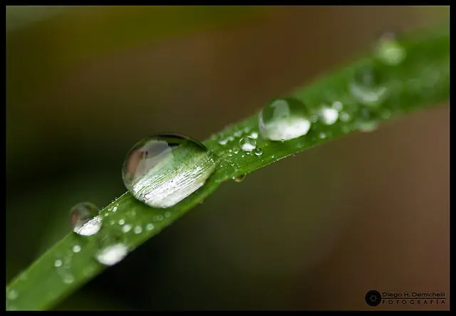 El otoño también es vida - Fotografía personal