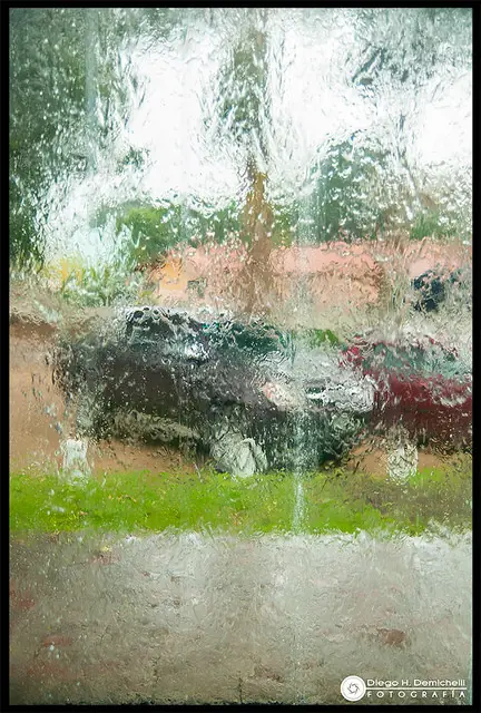 El otoño también es vida - Fotografía personal