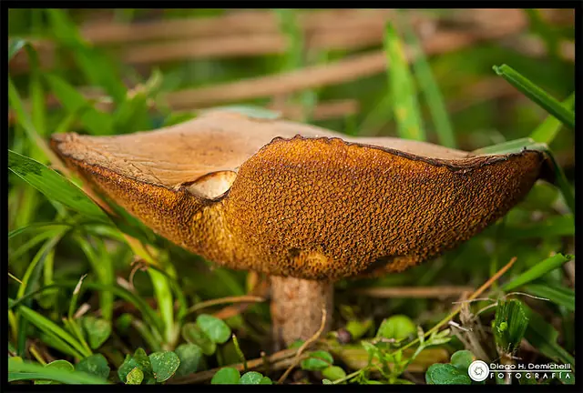 El otoño también es vida - Fotografía personal