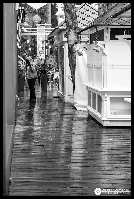 El otoño también es vida - Fotografía personal