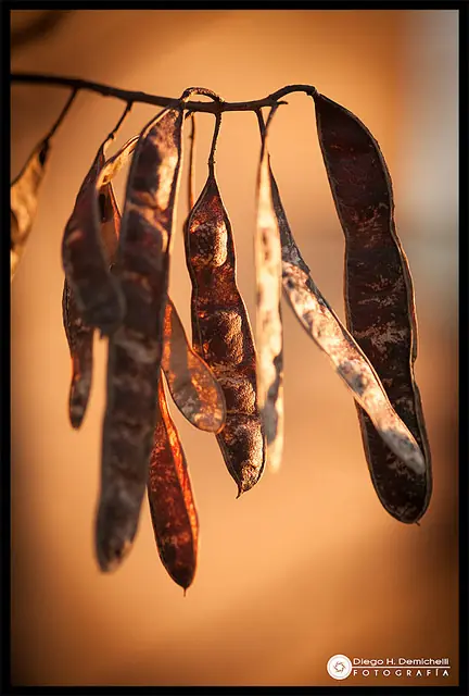 El otoño también es vida - Fotografía personal