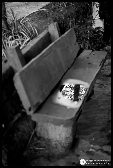 El otoño también es vida - Fotografía personal