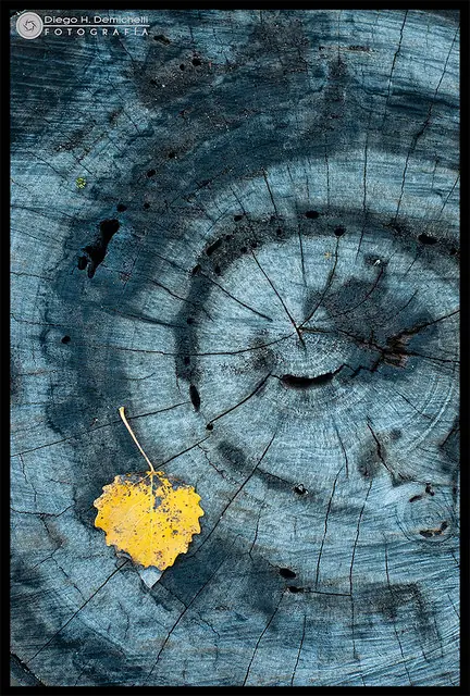 El otoño también es vida - Fotografía personal