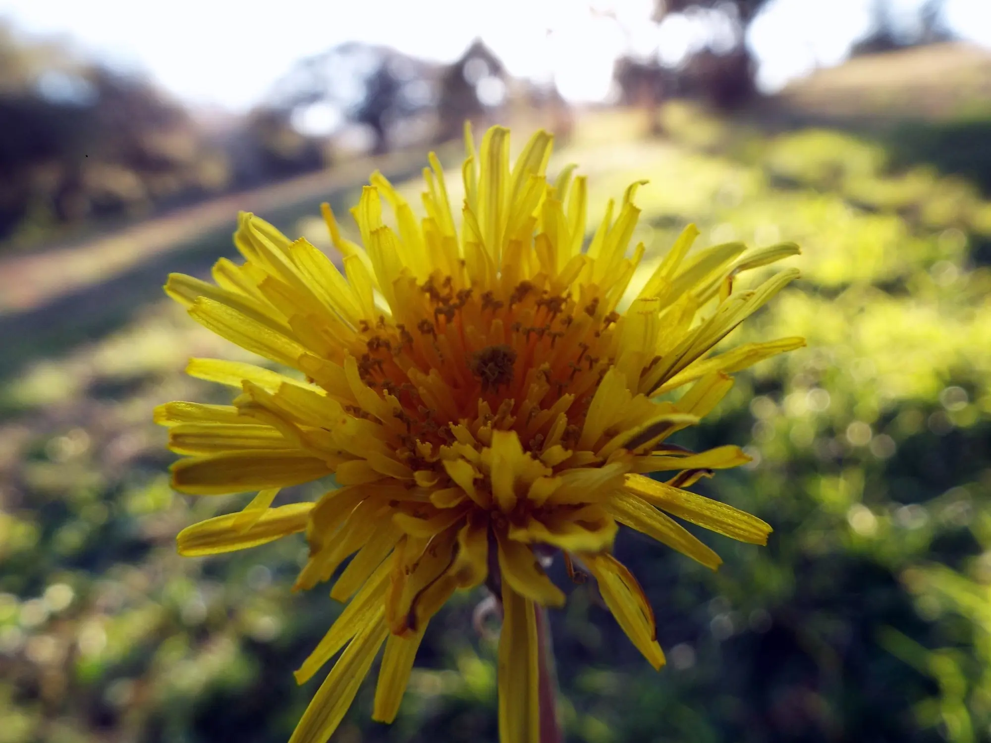 Pajarillos de por ahí + Yapa [FotosPropias]