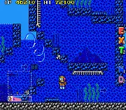 The New Zealand Story (nes norteamericano)
