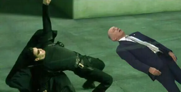 sabella