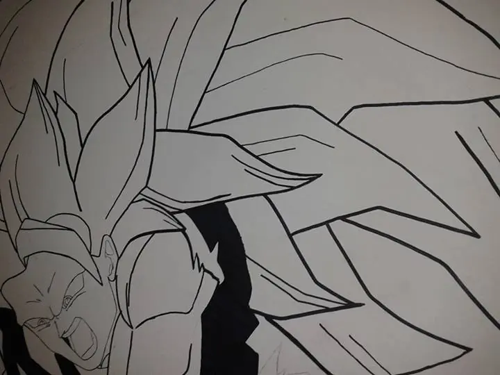 vegeta