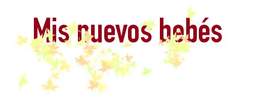 ilustracion