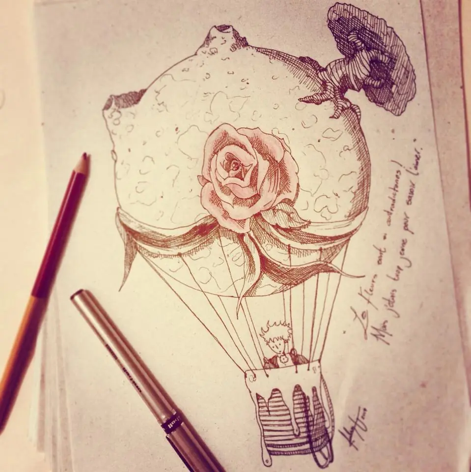 le petit prince