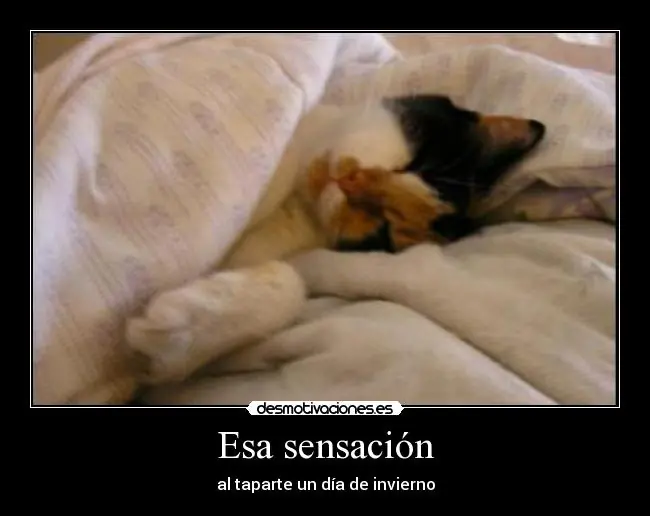 desmotivaciones