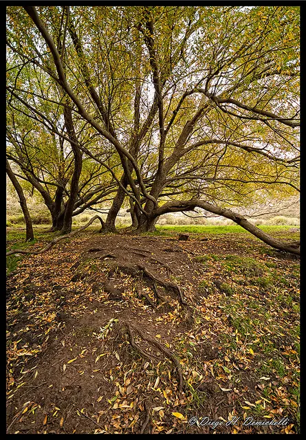 El otoño también es vida - Fotografía personal