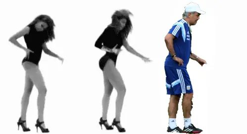 sabella
