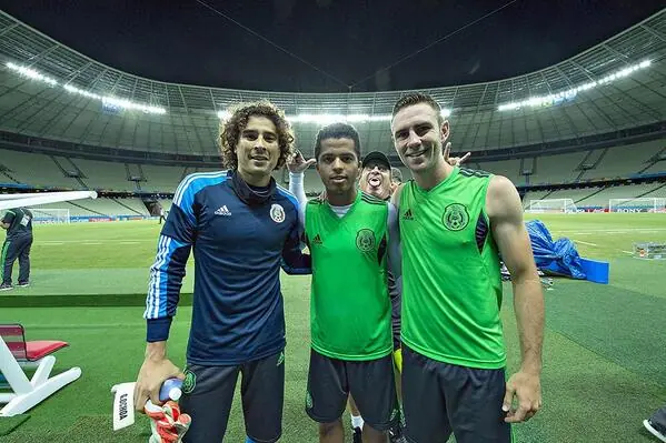 dt de mexico 2014