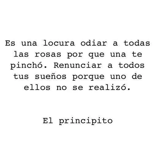 El principito