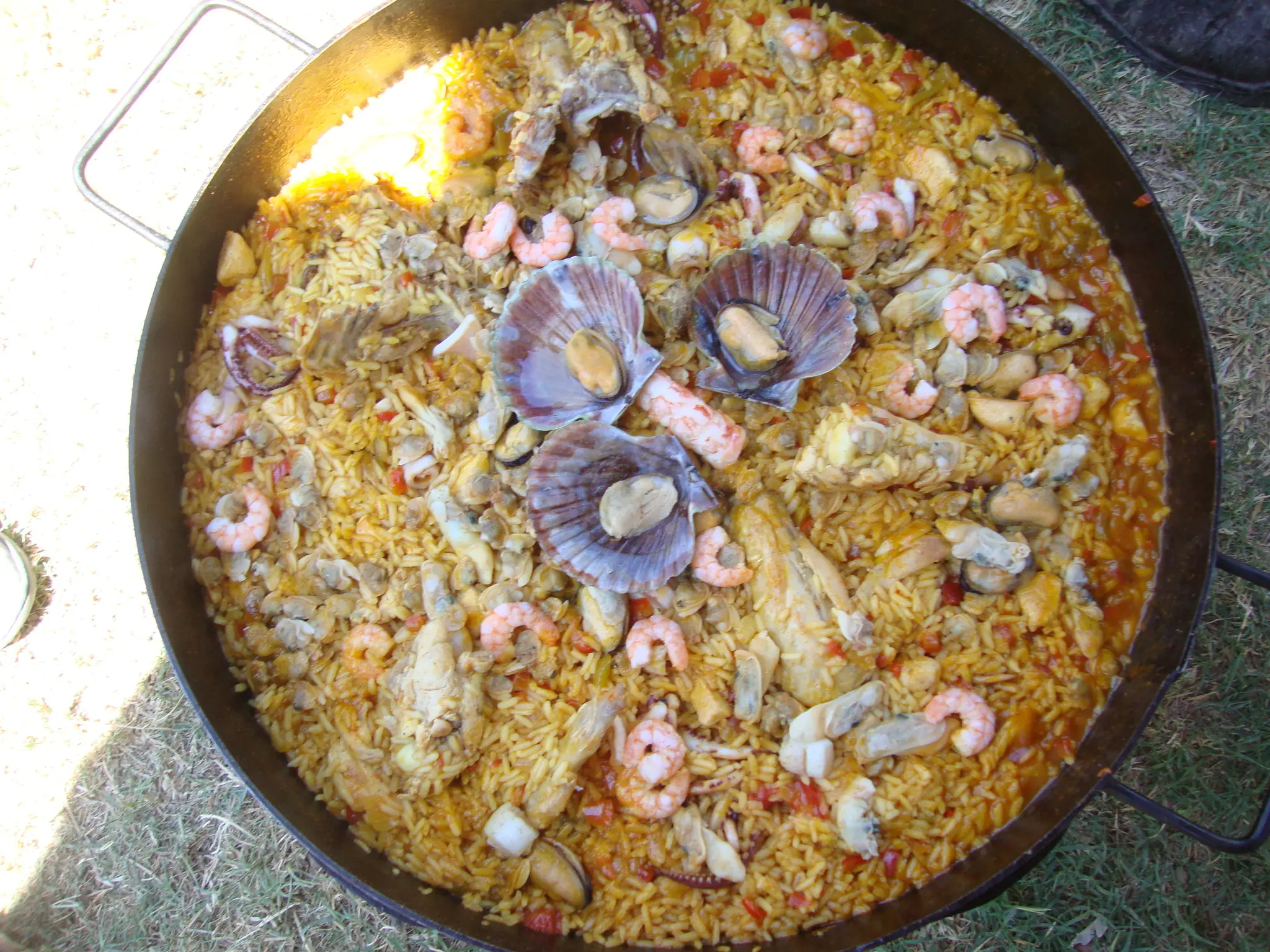 Camarones