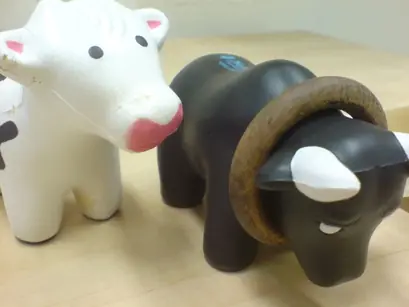 vaca