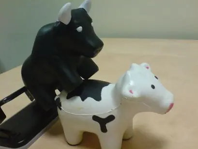 Vaca Sutra o.O