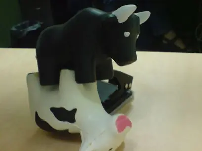 Vaca Sutra