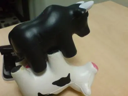 Vacas