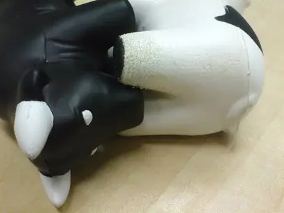 vaca