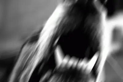 Leyendas de Buenos Aires - Ajos contra el enano vampiro