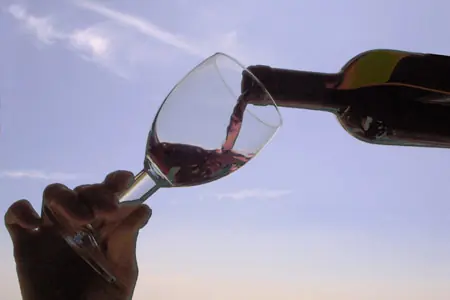 El vino mendocino