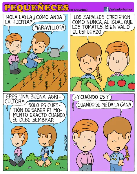 placas negras