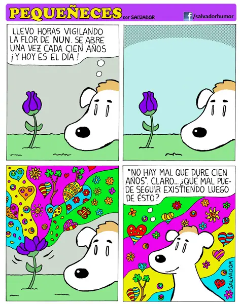 placas negras